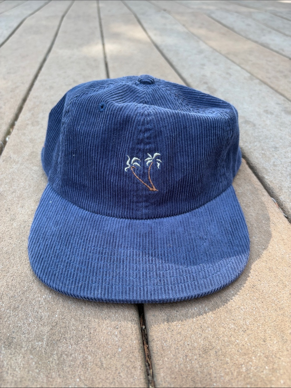American Eagle Corduroy Hat